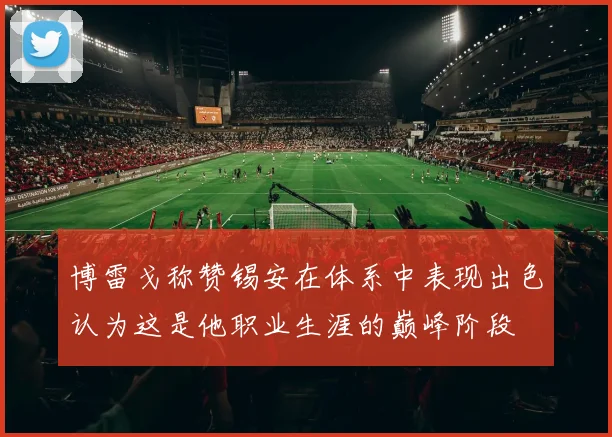 博雷戈称赞锡安在体系中表现出色认为这是他职业生涯的巅峰阶段